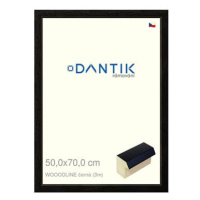 DANTIK rámeček 50 × 70, WOODLINE černý plexi čiré