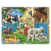 Zvieratá na farme (M5) (Sada 4 puzzle) - puzzle z kategorie Naučné puzzle