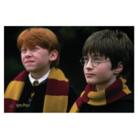 Umělecký tisk Harry Potter and Ron Weasley, 40x26.7 cm