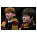 Umělecký tisk Harry Potter and Ron Weasley, 40x26.7 cm
