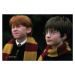 Umělecký tisk Harry Potter and Ron Weasley, 40 × 26.7 cm