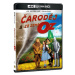 Čaroděj ze země Oz (2 disky) - Blu-ray + 4K Ultra HD