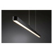 Paulmann LED závěsné svítidlo Lento 40W černá stmívatelné nastavitelná výška 796.93 P 79693