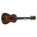 Aiersi SU204 Ebony Concert Ukulele Open Pore Natural