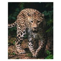 Jerry Fabrics Mikroflanelová deka Leopard 
