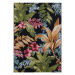 Kusový koberec Flair 105620 Tropical Flowers Multicolored – na ven i na doma 120x180 cm