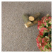 Spoltex koberce Liberec AKCE: 128x490 cm Metrážový koberec Texas 18 cognac - Bez obšití cm
