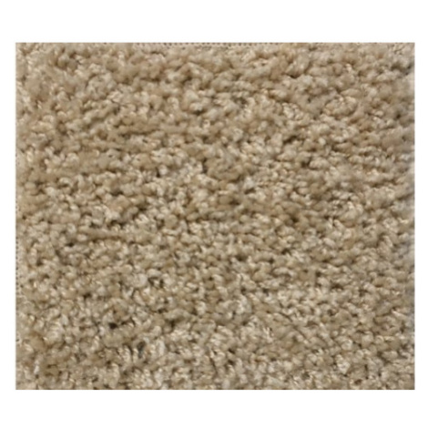 Moderní kusový koberec Color Shaggy | béžový Typ: 80x120 cm