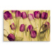 Plátno Tulipány V Retro Stylu Varianta: 70x50