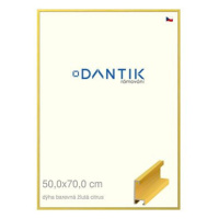 DANTIK rámeček 50 × 70, ALU profil 6035 Dýha barevný žlutý citrus plexi čiré