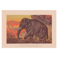 Ilustrace Woolly mammoth , chromolithograph, published in, ZU_09, 40 × 26.7 cm