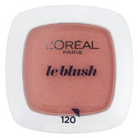 L'ORÉAL PARIS True Match Blush Reno 120 Sandalwood Pink 5 g