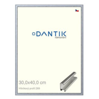 DANTIK rámeček 30 × 40, ALU profil 7269 Sstříbrný broušený plexi čiré