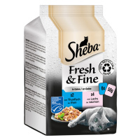 Sheba Fresh & Fine kapsičky 6 x 50 g - tuňák a losos v želé