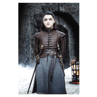 Umělecký tisk Game of Thrones - Arya Stark, (26.7 x 40 cm)