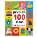 Prvních 100 slov