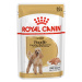 Royal Canin Poodle Adult - 24 x 85 g