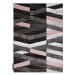 Dywany Lusczow Kusový koberec ALTER Bax pruhy růžový