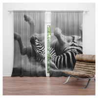 Sablio Závěs Válející se zebra: 2ks 140x250cm