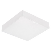 Emithor Emithor  - LED Stropní svítidlo SURFACE 1xLED/20W/230V