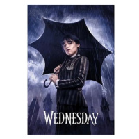 Wednesday - Umbrella - plakát