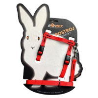 Bafpet Set pro králíka - kšíry + vodítko, Červená, 10mm × 120cm, 10mm × OK 19-26, OH 24-37cm, 20