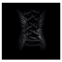 Fotografie Close up of laced sneaker, Chris Bailey, 40 × 40 cm