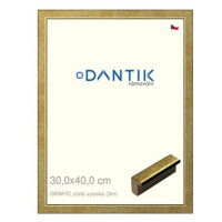 DANTIK rámeček 30 × 40, GRAFIC zlatý vysoký plexi čiré