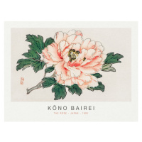 Obrazová reprodukce The Rose (Special Edition Japandi) - Kōno Bairei, 40 × 30 cm