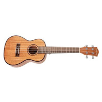 CASCHA HH 2036 CZ Concert Mahogany Ukulele Bundle