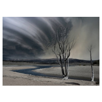 Fotografie Thirsty land, Yvette Depaepe, 40 × 30 cm