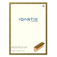 DANTIK rámeček 50 × 70, Metalli oidati zlatý plexi čiré