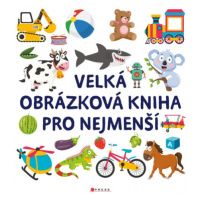 Velká obrázková kniha pro nejmenší CPRESS