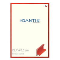 DANTIK rámeček 29,7 × 42, ALU profil 6035 Dýha barevný červený třešeň plexi čiré