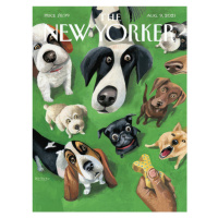 Ilustrace The NY Magazine Cover 65, 30 × 40 cm