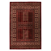 Obsession koberce Kusový koberec My Ariana 883 red - 80x150 cm