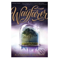 Wayfarer - Alexandra Bracken - kniha z kategorie Beletrie pro děti