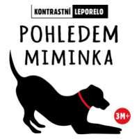 Pohledem miminka - kolektiv autorů