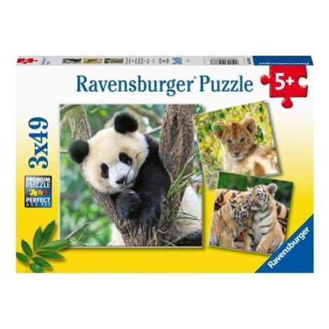 Ravensburger 056668 Panda tygr a lev 3 x 49 dílků