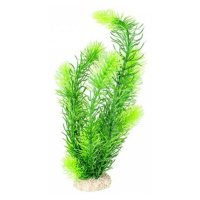 Ebi AQUA DELLA Rostlina umělá HORNWORT 32cm zelená 1ks