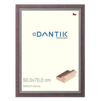 DANTIK rámeček 50 × 70, AMALFI fialový plexi čiré