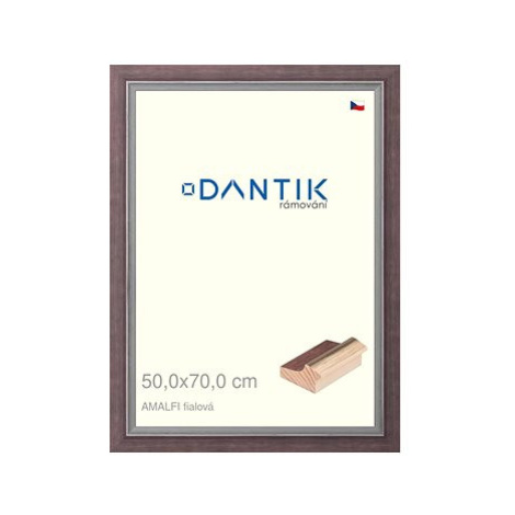 DANTIK rámeček 50 × 70, AMALFI fialový plexi čiré