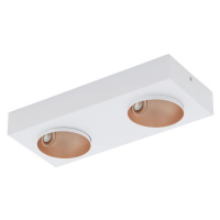 Eglo Eglo 39374 - LED Stmívatelné stropní svítidlo RONZANO 2xLED/3,3W/230V