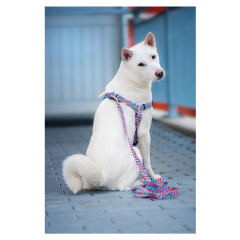 Vsepropejska Geo modro-červený postroj pro psa Barva: Modro-červená, Obvod hrudníku: 46 - 70 cm