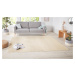 Hanse Home Collection koberce Kusový koberec Nasty 101152 Creme - 80x300 cm