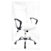 MERCURY kancelářská židle PREZIDENT bílý