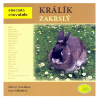 Králík zakrslý - Abeceda chovatele