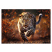 Trefl Puzzle 1000 Premium Plus - Foto Odyssey: Divoký leopard