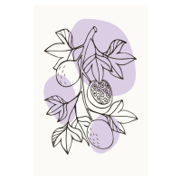 Ilustrace Boho Fruits #1, jay stanley, (26.7 x 40 cm)
