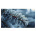 Fotografie Winter impressions 9, Treechild, 40 × 22.2 cm